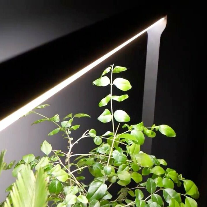 Bloom light module designed by Dries Bovijn at Mother